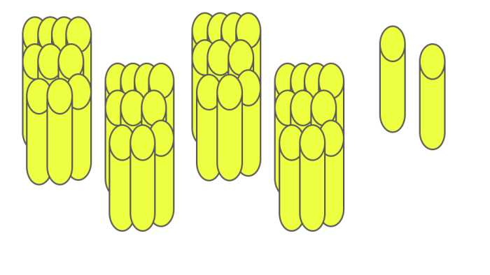 bundles of tens and ones 